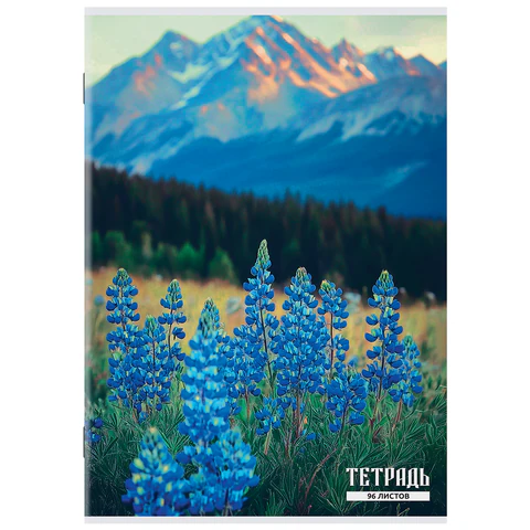 Тетрадь А4 96 л. STAFF "College" скоба, клетка, офсет №2 ЭКОНОМ, обложка картон, ГОРНЫЕ ЦВЕТЫ, 405621 - фото 6