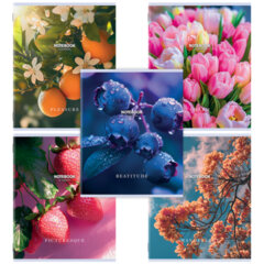 Тетрадь А5 48 л. STAFF &laquo;College&raquo;, скоба, клетка, офсет №2 ЭКОНОМ, обложка картон, &laquo;ПРИРОДА&raquo;, 405626