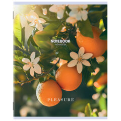 Тетрадь А5 48 л. STAFF &laquo;College&raquo;, скоба, клетка, офсет №2 ЭКОНОМ, обложка картон, &laquo;ПРИРОДА&raquo;, 405626