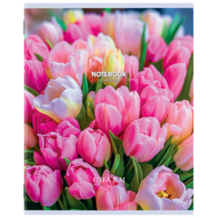 Тетрадь А5 48 л. STAFF &laquo;College&raquo;, скоба, клетка, офсет №2 ЭКОНОМ, обложка картон, &laquo;ПРИРОДА&raquo;, 405626