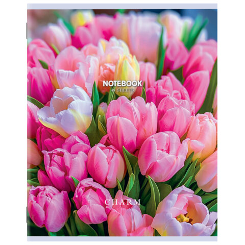 Тетрадь А5 48 л. STAFF "College", скоба, клетка, офсет №2 ЭКОНОМ, обложка картон, "ПРИРОДА", 405626