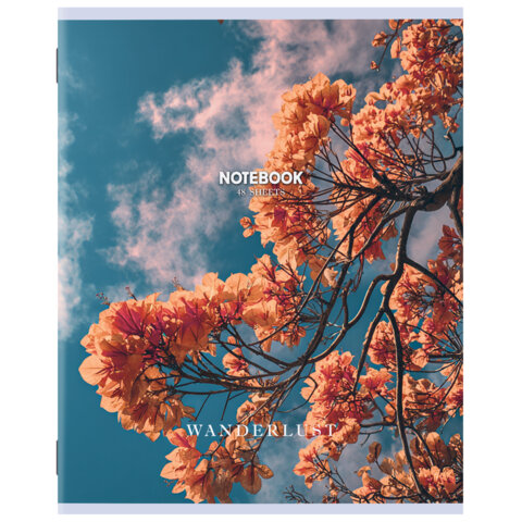 Тетрадь А5 48 л. STAFF "College", скоба, клетка, офсет №2 ЭКОНОМ, обложка картон, "ПРИРОДА", 405626