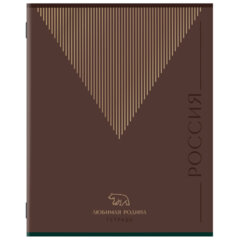 Тетрадь А5 48 л. STAFF &laquo;College&raquo; скоба, линия, офсет №2 ЭКОНОМ, обложка картон, &laquo;РОДИНА&raquo;, 405629