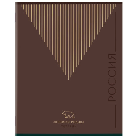 Тетрадь А5 48 л. STAFF "College" скоба, линия, офсет №2 ЭКОНОМ, обложка картон, "РОДИНА", 405629