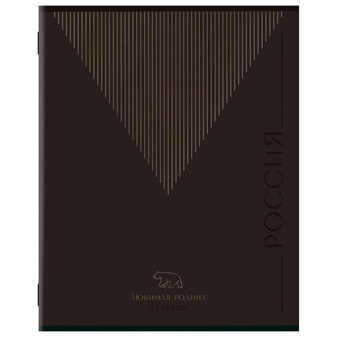 Тетрадь А5 48 л. STAFF "College" скоба, линия, офсет №2 ЭКОНОМ, обложка картон, "РОДИНА", 405629 - фото 4