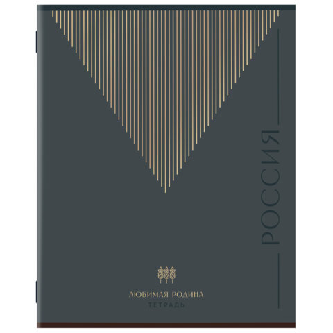 Тетрадь А5 48 л. STAFF "College" скоба, линия, офсет №2 ЭКОНОМ, обложка картон, "РОДИНА", 405629