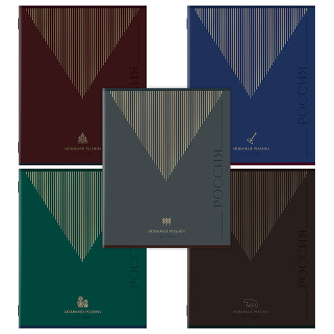 Тетрадь А5 48 л. STAFF "College" скоба, линия, офсет №2 ЭКОНОМ, обложка картон, "РОДИНА", 405629