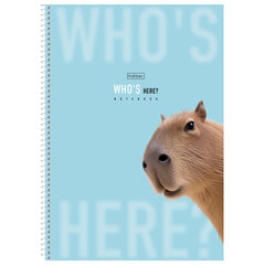 Тетрадь А4 96 л., HATBER, спираль, линия, матовая ламинация, &laquo;Кто здесь?&raquo; (микс в спайке), 093596