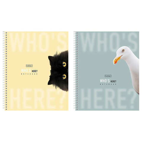 Тетрадь А5 96 л., HATBER, спираль, клетка, матовая ламинация, "Кто здесь?" (микс в спайке), 093670, 96Т5лВ1сп