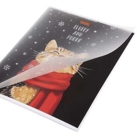 Тетрадь обложка пластик, А5, 48 л., скоба, линия, HATBER, "Котэ" (микс в спайке), 091627, 48Т5В2пл