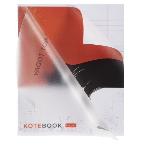 Тетрадь обложка пластик, А5, 48 л., скоба, линия, HATBER, "Котэ" (микс в спайке), 091627, 48Т5В2пл