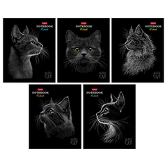 Тетрадь А5, 48 л., HATBER, скоба, клетка, матовая ламинация, 3D-лак, &laquo;Black Cat&raquo; (микс в спайке), 093159