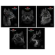 Тетрадь А5, 48 л., HATBER, скоба, клетка, матовая ламинация, 3D-лак, "Black Cat" (микс в спайке), 093159, 48Т5лолВ1