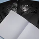 Тетрадь А5, 48 л., HATBER, скоба, клетка, матовая ламинация, 3D-лак, "Shadow" (микс в спайке), 093204, 48Т5лолВ1
