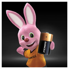 Батарейки КОМПЛЕКТ 2 шт., DURACELL Basic ОРИГИНАЛ, D (LR20, 13А), алкалиновые, блистер