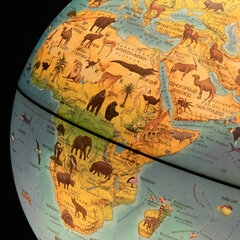 Глобус зоогеографический GLOBEN &laquo;Классик Евро&raquo;, 25 см, с подсветкой, детский, Ке012500270