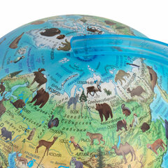 Глобус зоогеографический GLOBEN &laquo;Классик Евро&raquo;, 25 см, с подсветкой, детский, Ке012500270