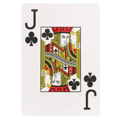 Карты игральные пластиковые &laquo;Poker club&raquo;, ассорти, 54 шт., 8,7 х 6,3 см, 25 мкм, ИН-9121, ИН-9130, ИН-4382
