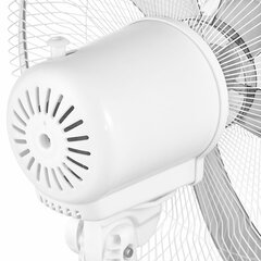 Вентилятор напольный, 3 режима, BALLU BFF-802, d=43 см, 45 Вт, белый