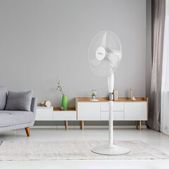 Вентилятор напольный, 3 режима, BALLU BFF–806, d=43 см, 40 Вт, белый