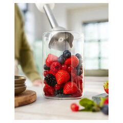 Блендер погружной PHILIPS HR2534/<wbr/>00, 650 Вт, 1 скорость, 1 насадка, стакан, белый