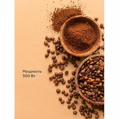 Кофемолка BQ (БИ-КЬЮ) CG1000, мощность 300 Вт, вместимость 50 г, стальная