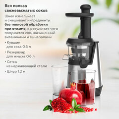 Соковыжималка BQ (БИ-КЬЮ) J2003, 200 Вт, стакан 0,6 л, емкость жмыха 0,6 л, металл, серый