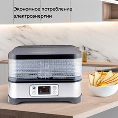 Сушилка для овощей BQ (БИ-КЬЮ) FD1001, объём 10 л, 250 Вт, 5 поддонов, электронное управление, стальная