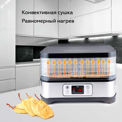 Сушилка для овощей BQ (БИ-КЬЮ) FD1001, объём 10 л, 250 Вт, 5 поддонов, электронное управление, стальная