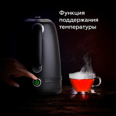 Чайник BQ (БИ-КЬЮ) KT1724SW, 1,7 л, 2200 Вт, закрытый нагревательный элемент, ТЕРМОРЕГУЛЯТОР, черный