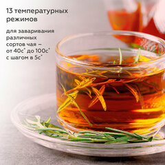 Чайник электрический с двойными стенками BQ (БИ-КЬЮ) KT1801SW, 1,7 л, 2200 Вт, ТЕРМОРЕГУЛЯТОР, черный