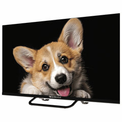 Телевизор TOPDEVICE TDTV32CS03H_BK, 32'' (80 см), 1366&times;768, HD, 16:9, YaOS, Wi-Fi, Bluetooth, черный