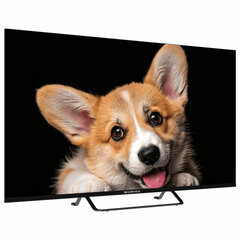 Телевизор TOPDEVICE TDTV43CS03U_BK, 43'' (109 см), 3840&times;2160, 4K, 16:9, YaOS, Wi-Fi, Bluetooth, черный
