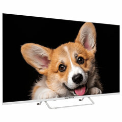Телевизор TOPDEVICE TDTV43CS03U_WE, 43'' (109 см), 3840&times;2160, 4K, 16:9, YaOS, Wi-Fi, Bluetooth, белый