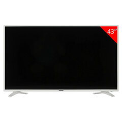 Телевизор ASANO 43LF5011T, 43" (108 см), 1920&times;1080, FHD, 16:9, Салют ТВ, Wi-Fi, белый