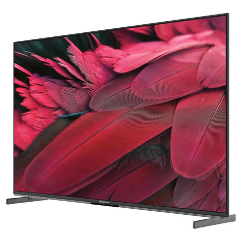 Телевизор SKYWORTH 55X85G, 55" (140 см), QD-Mini LED, 3840x2160, 4K, 16:9, Google TV, Wi-Fi, караоке, черный - фото 3