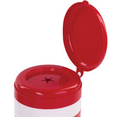 Салфетки для экранов всех типов и пластика BRAUBERG с ароматом &laquo;АСТРА&raquo;, в тубе 100 шт., влажные, 511689