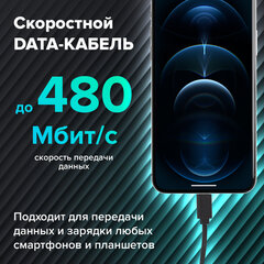 Кабель USB 2.0 – Lightning, 1 м, SONNEN, медь, для передачи данных и зарядки, черный, 513116