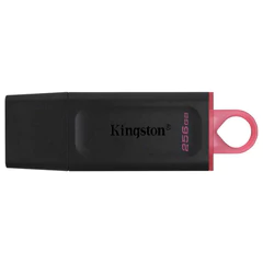 Флеш-диск 256 GB KINGSTON DataTraveler Exodia, разъем USB 3.2, черный/розовый, DTX/256GB