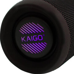 Колонка портативная влагозащищенная KAIGO (КАЙГО) BT30T, 30 Вт, Bluetooth, USB, Micro SD, AUX, RGB, TWS, IPX7, черная, 514226