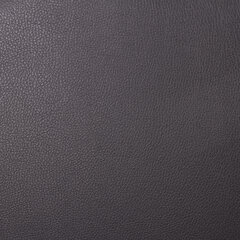 Стул для посетителей РС00Л, черный каркас, кожзам черный