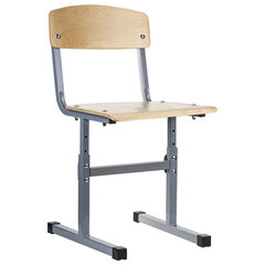 Стул ученический регулируемый &laquo;Ученик&raquo;, 380&times;480&times;720-800 мм, рост 4-6, серый каркас
