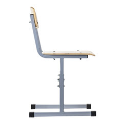 Стул ученический регулируемый &laquo;Ученик&raquo;, 380&times;480&times;720-800 мм, рост 4-6, серый каркас