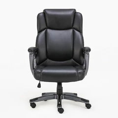 Кресло офисное BRABIX PREMIUM &laquo;Favorite EX-577&raquo;, пружинный блок, рециклированная кожа, черное, 531934