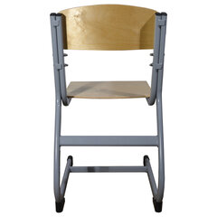 Стул ученический регулируемый &laquo;Атлант/<wbr/>Олимп&raquo;, 340&times;430&times;585-665 мм, рост 2-4, серый каркас