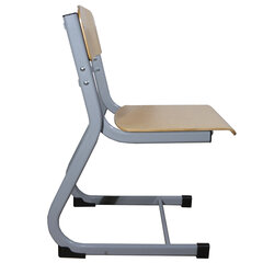 Стул ученический регулируемый &laquo;Атлант/<wbr/>Олимп&raquo;, 340&times;430&times;720-800 мм, рост 4-6, серый каркас