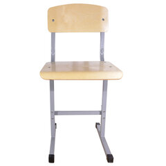 Стул ученический нерегулируемый &laquo;Умник&raquo;, 380&times;480&times;800 мм, рост 6, серый каркас