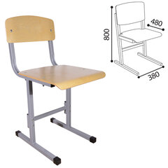 Стул ученический нерегулируемый &laquo;Умник&raquo;, 380&times;480&times;800 мм, рост 6, серый каркас