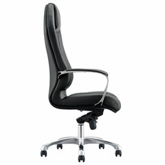 Кресло BRABIX PREMIUM &laquo;Aurus EX-705&raquo;, мультиблок, алюминий, экокожа, черное, 532928