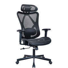 Кресло BRABIX PREMIUM &laquo;Axion ER-701&raquo;, синхромеханизм, регулируемые подголовник и спинка, сетка, черное, 532965